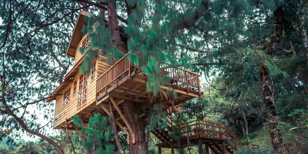 cabañas en arboles dormir en un arbol