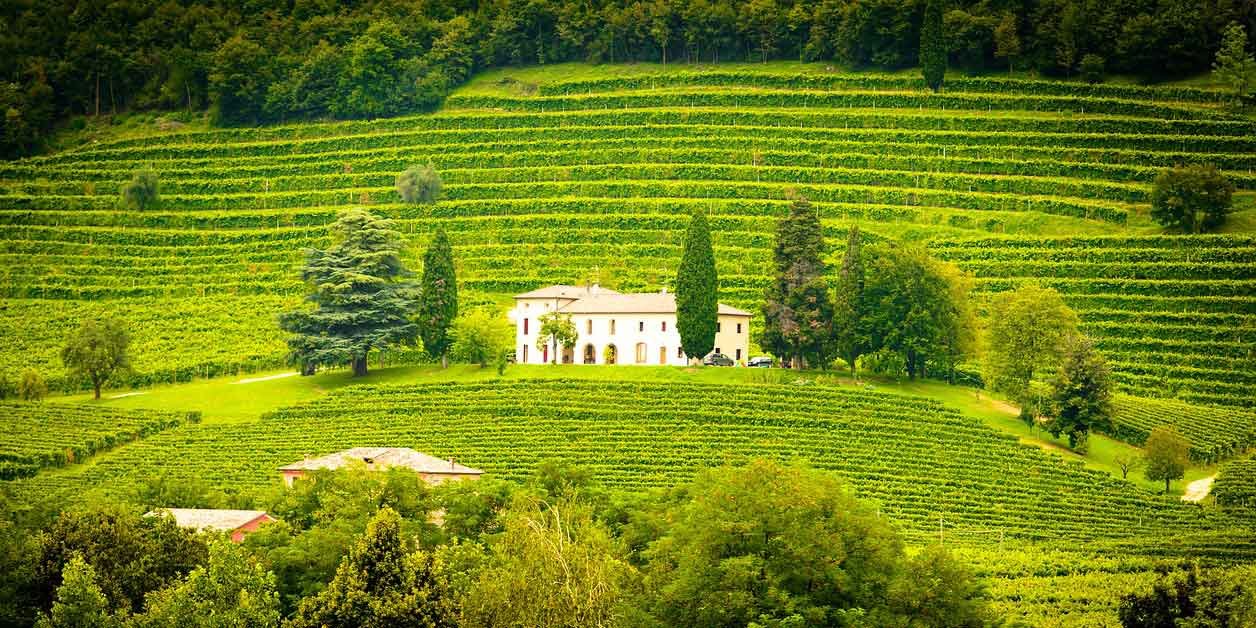 Bodegas con Hotel - Los mejores hoteles bodega